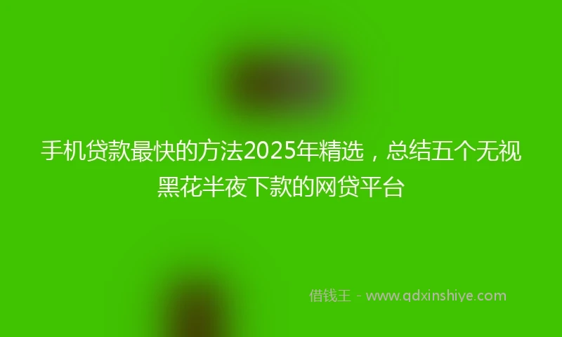 手机贷款最快的方法2025年精选，总结五个无视黑花半夜下款的网贷平台