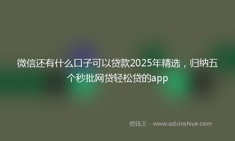 微信还有什么口子可以贷款2025年精选,归纳五个秒批网贷轻松贷的app