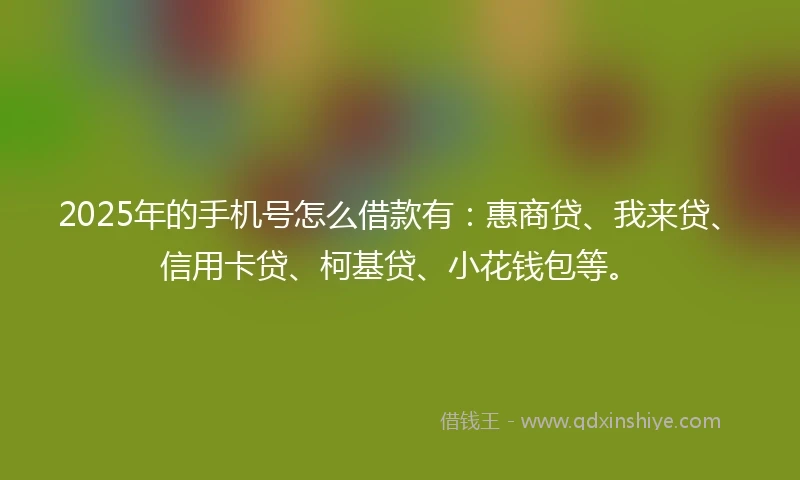 2025年的手机号怎么借款有：惠商贷、我来贷、信用卡贷、柯基贷、小花钱包等。