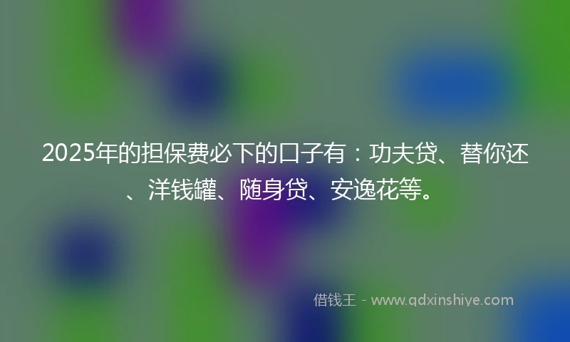 2025年的担保费必下的口子有：功夫贷、替你还、洋钱罐、随身贷、安逸花等。