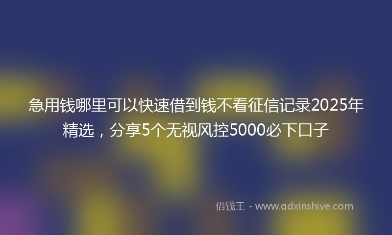 急用钱哪里可以快速借到钱不看征信记录2025年精选，分享5个无视风控5000必下口子