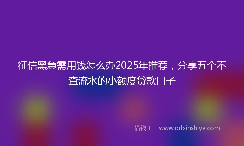 征信黑急需用钱怎么办2025年推荐，分享五个不查流水的小额度贷款口子