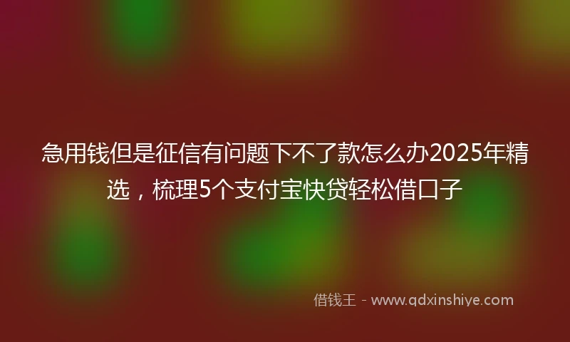 急用钱但是征信有问题下不了款怎么办2025年精选，梳理5个支付宝快贷轻松借口子