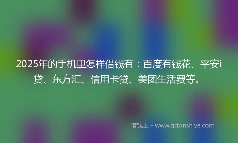 2025年的手机里怎样借钱有：百度有钱花、平安i贷、东方汇、信用卡贷、美团生活费等。
