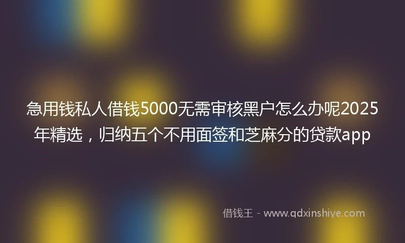 急用钱私人借钱5000无需审核黑户怎么办呢2025年精选，归纳五个不用面签和芝麻分的贷款app