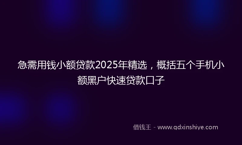 急需用钱小额贷款2025年精选，概括五个手机小额黑户快速贷款口子