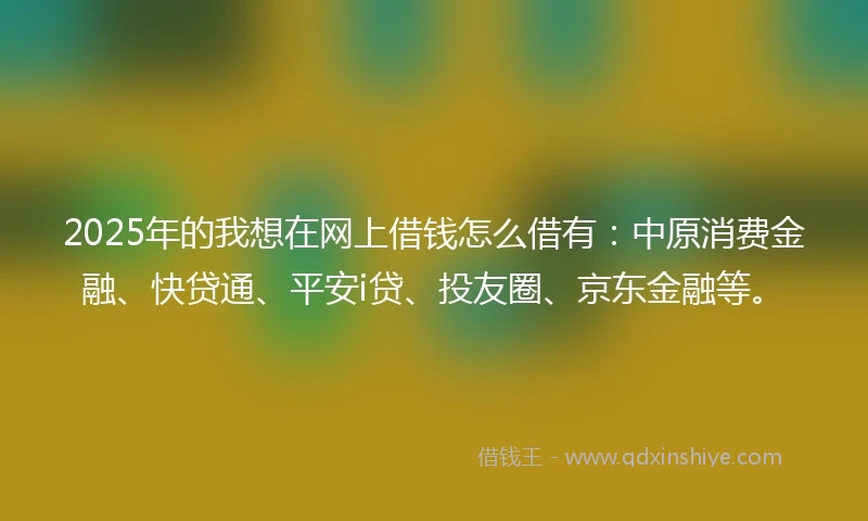 2025年的我想在网上借钱怎么借有：中原消费金融、快贷通、平安i贷、投友圈、京东金融等。