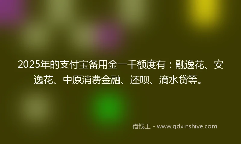 2025年的支付宝备用金一千额度有：融逸花、安逸花、中原消费金融、还呗、滴水贷等。