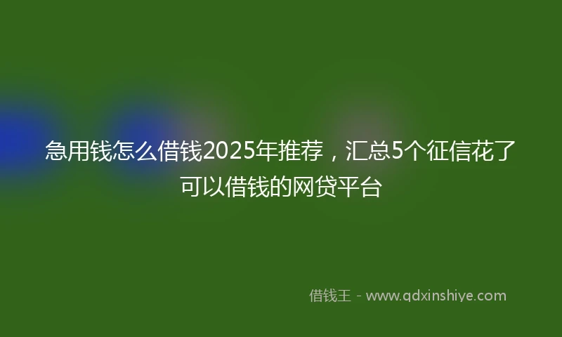 急用钱怎么借钱2025年推荐，汇总5个征信花了可以借钱的网贷平台