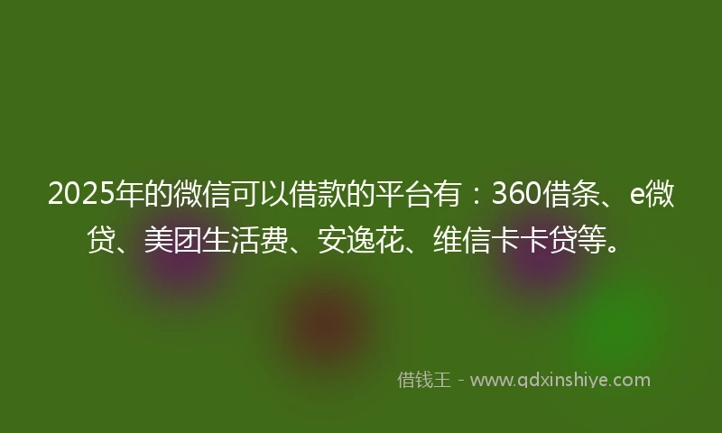 2025年的微信可以借款的平台有：360借条、e微贷、美团生活费、安逸花、维信卡卡贷等。