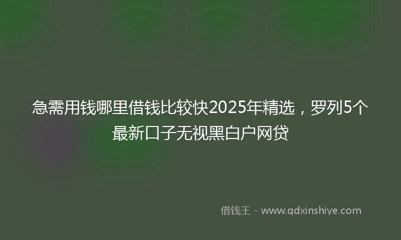 急需用钱哪里借钱比较快2025年精选，罗列5个最新口子无视黑白户网贷
