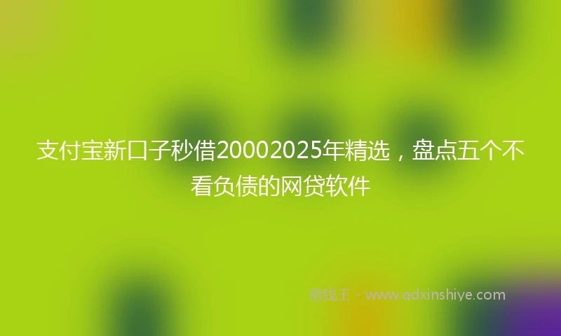 支付宝新口子秒借20002025年精选，盘点五个不看负债的网贷软件