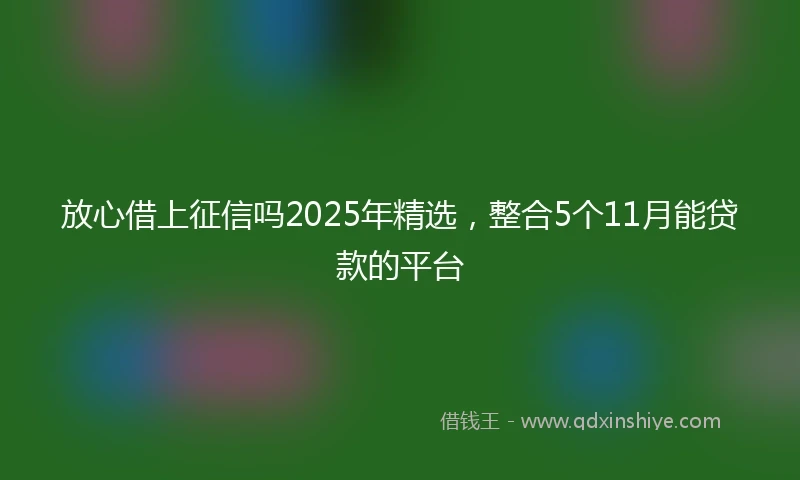 放心借上征信吗2025年精选，整合5个11月能贷款的平台