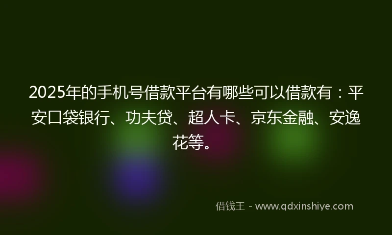 2025年的手机号借款平台有哪些可以借款有：平安口袋银行、功夫贷、超人卡、京东金融、安逸花等。