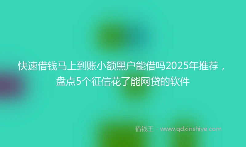 快速借钱马上到账小额黑户能借吗2025年推荐，盘点5个征信花了能网贷的软件