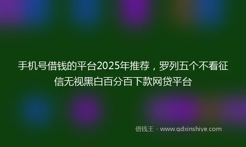 手机号借钱的平台2025年推荐，罗列五个不看征信无视黑白百分百下款网贷平台