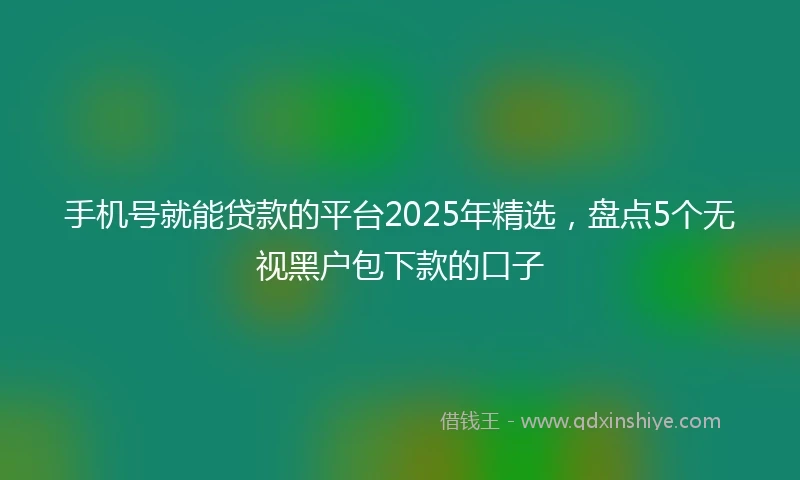 手机号就能贷款的平台2025年精选，盘点5个无视黑户包下款的口子