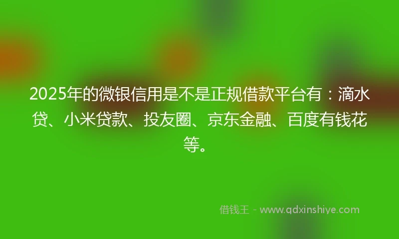 2025年的微银信用是不是正规借款平台有：滴水贷、小米贷款、投友圈、京东金融、百度有钱花等。