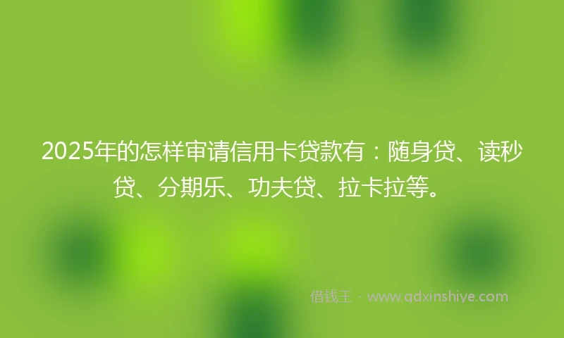 2025年的怎样审请信用卡贷款有：随身贷、读秒贷、分期乐、功夫贷、拉卡拉等。