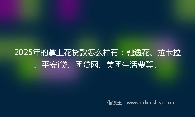 2025年的掌上花贷款怎么样有：融逸花、拉卡拉、平安i贷、团贷网、美团生活费等。