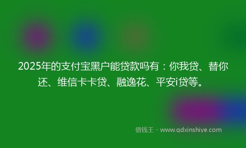 2025年的支付宝黑户能贷款吗有：你我贷、替你还、维信卡卡贷、融逸花、平安i贷等。