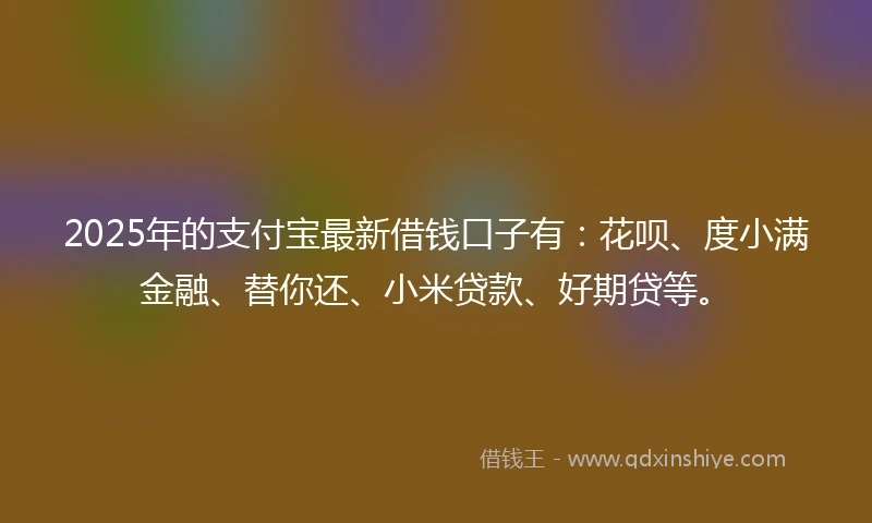 2025年的支付宝最新借钱口子有：花呗、度小满金融、替你还、小米贷款、好期贷等。