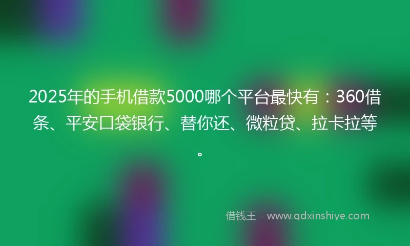 2025年的手机借款5000哪个平台最快有：360借条、平安口袋银行、替你还、微粒贷、拉卡拉等。