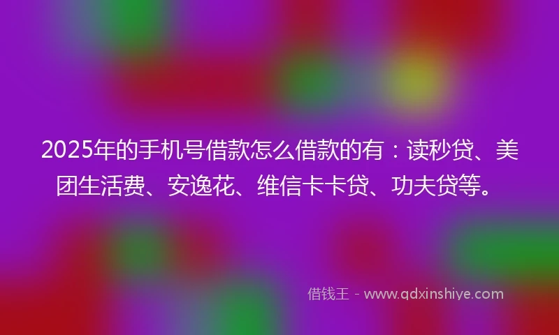 2025年的手机号借款怎么借款的有：读秒贷、美团生活费、安逸花、维信卡卡贷、功夫贷等。