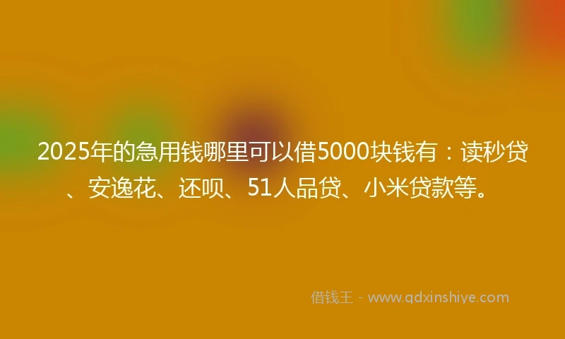 2025年的急用钱哪里可以借5000块钱有：读秒贷、安逸花、还呗、51人品贷、小米贷款等。