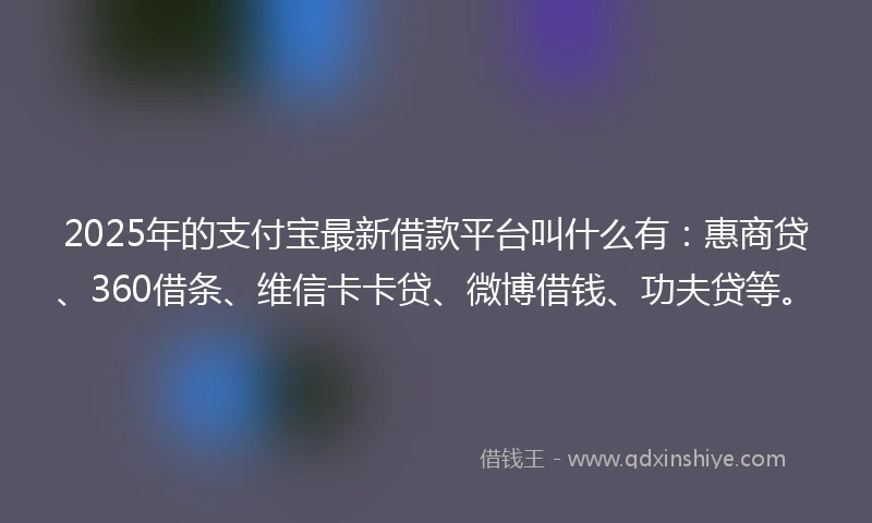 2025年的支付宝最新借款平台叫什么有:惠商贷、360借条、维信卡卡贷、微博借钱、功夫贷等。