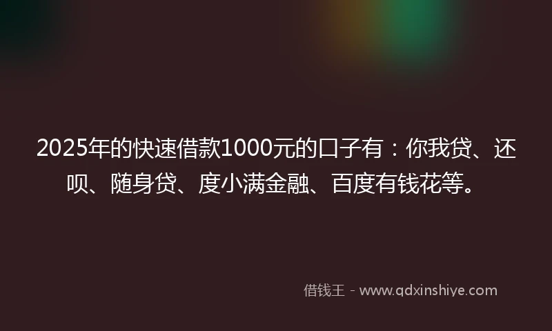 2025年的快速借款1000元的口子有：你我贷、还呗、随身贷、度小满金融、百度有钱花等。
