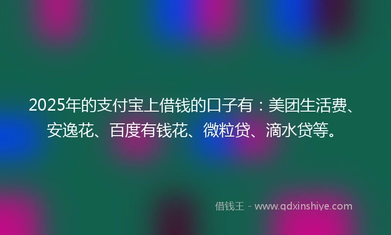 2025年的支付宝上借钱的口子有：美团生活费、安逸花、百度有钱花、微粒贷、滴水贷等。