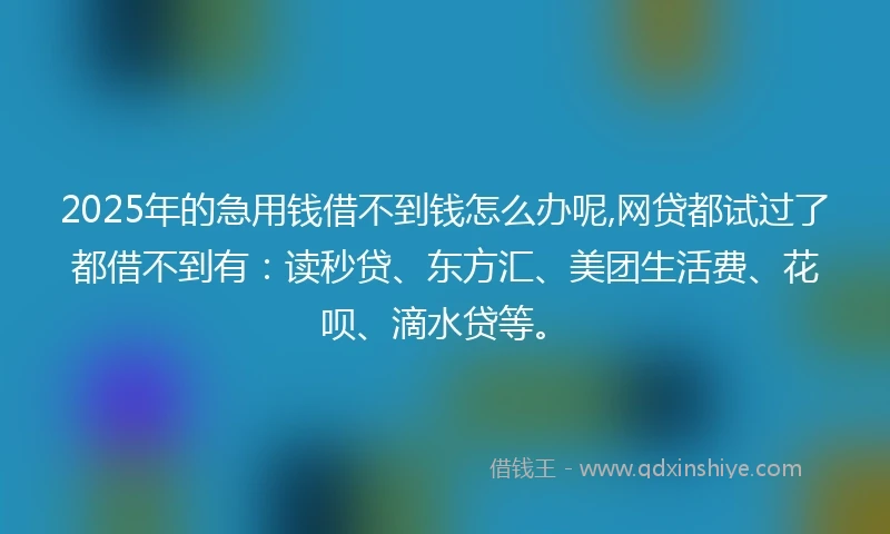 2025年的急用钱借不到钱怎么办呢,网贷都试过了都借不到有：读秒贷、东方汇、美团生活费、花呗、滴水贷等。