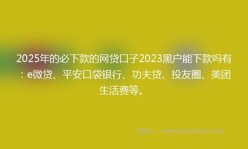 2025年的必下款的网贷口子2023黑户能下款吗有：e微贷、平安口袋银行、功夫贷、投友圈、美团生活费等。