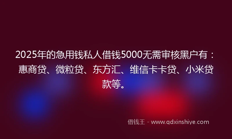 2025年的急用钱私人借钱5000无需审核黑户有:惠商贷、微粒贷、东方汇、维信卡卡贷、小米贷款等。