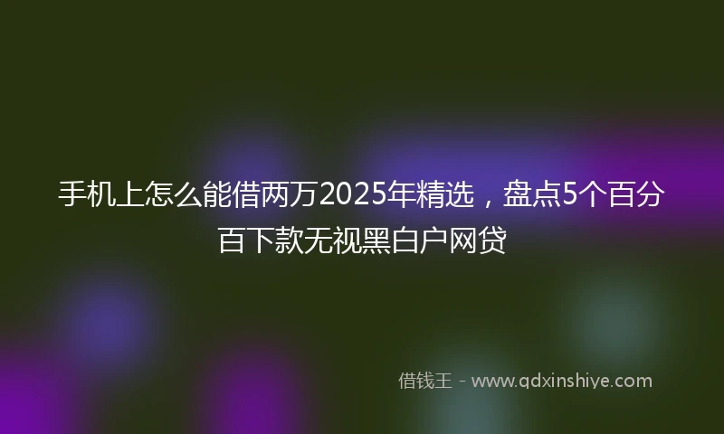 手机上怎么能借两万2025年精选，盘点5个百分百下款无视黑白户网贷
