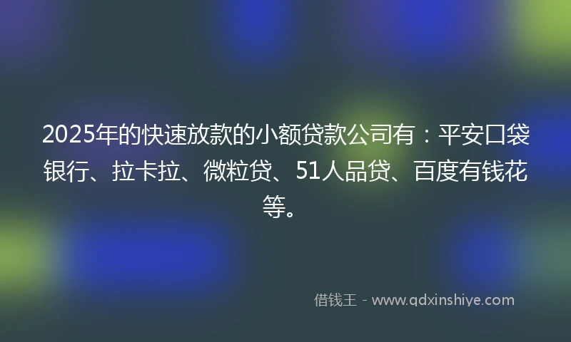 2025年的快速放款的小额贷款公司有：平安口袋银行、拉卡拉、微粒贷、51人品贷、百度有钱花等。