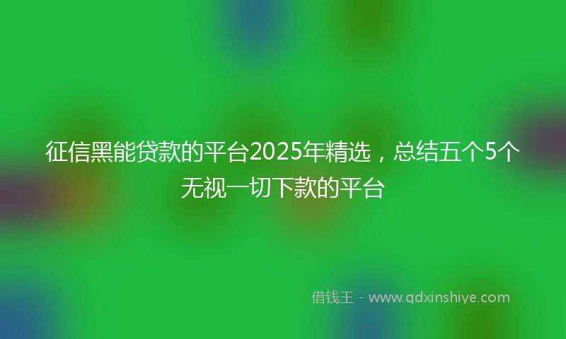征信黑能贷款的平台2025年精选，总结五个5个无视一切下款的平台
