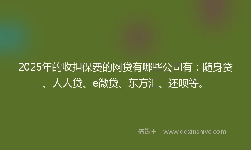 2025年的收担保费的网贷有哪些公司有：随身贷、人人贷、e微贷、东方汇、还呗等。