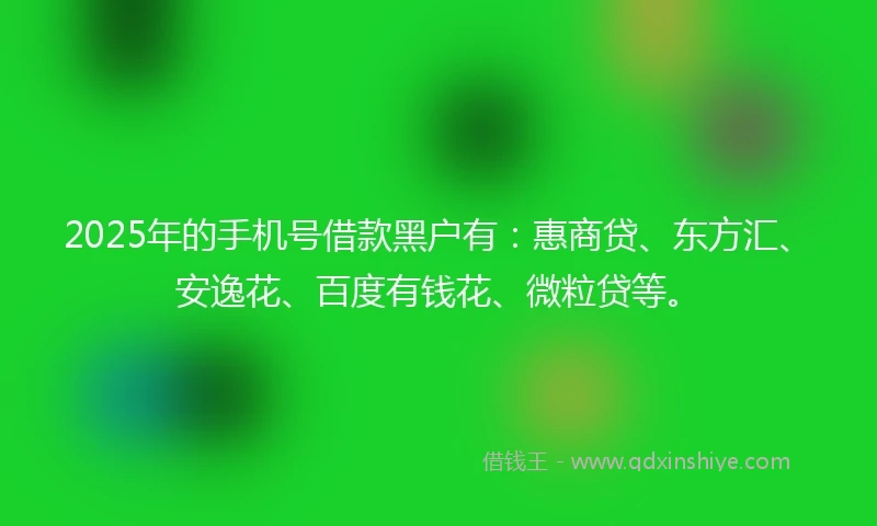 2025年的手机号借款黑户有：惠商贷、东方汇、安逸花、百度有钱花、微粒贷等。