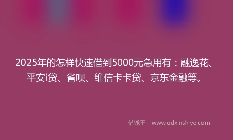 2025年的怎样快速借到5000元急用有：融逸花、平安i贷、省呗、维信卡卡贷、京东金融等。