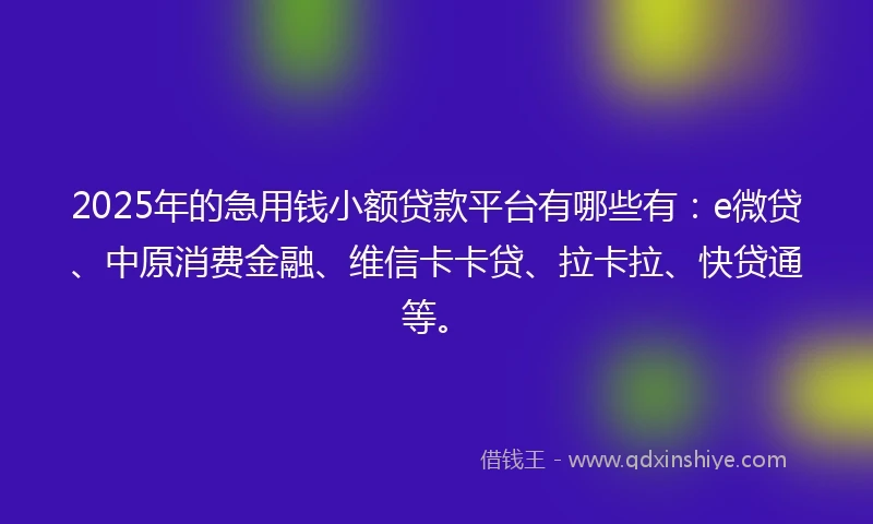 2025年的急用钱小额贷款平台有哪些有：e微贷、中原消费金融、维信卡卡贷、拉卡拉、快贷通等。