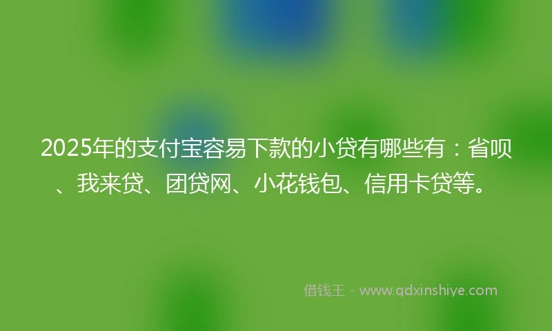 2025年的支付宝容易下款的小贷有哪些有：省呗、我来贷、团贷网、小花钱包、信用卡贷等。