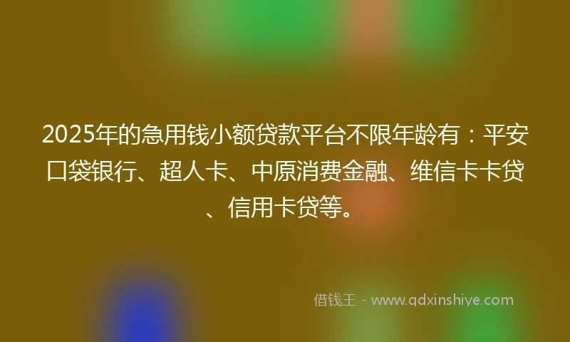 2025年的急用钱小额贷款平台不限年龄有：平安口袋银行、超人卡、中原消费金融、维信卡卡贷、信用卡贷等。