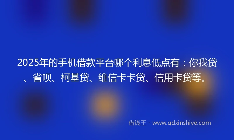 2025年的手机借款平台哪个利息低点有：你我贷、省呗、柯基贷、维信卡卡贷、信用卡贷等。