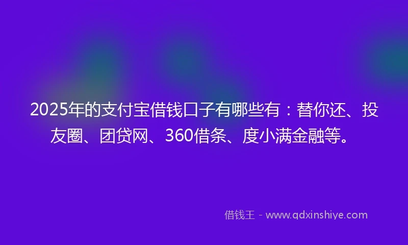 2025年的支付宝借钱口子有哪些有：替你还、投友圈、团贷网、360借条、度小满金融等。