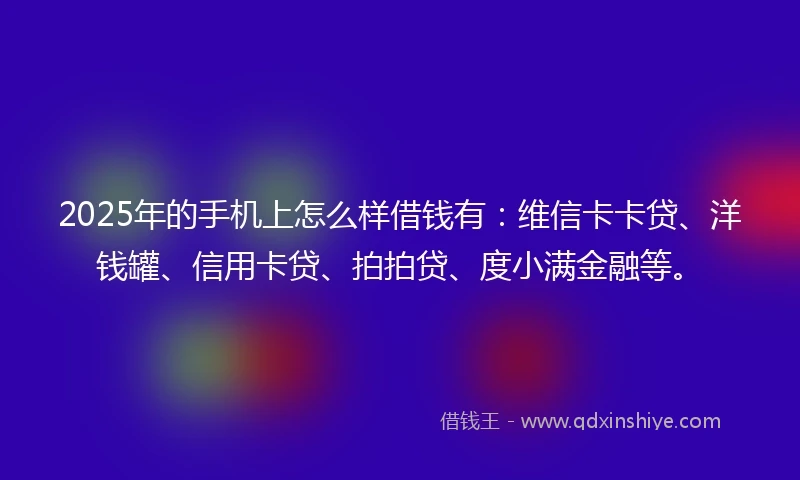 2025年的手机上怎么样借钱有：维信卡卡贷、洋钱罐、信用卡贷、拍拍贷、度小满金融等。