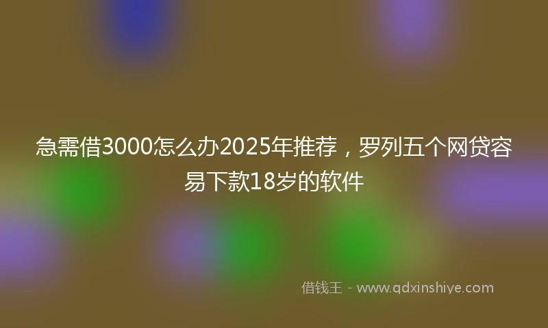 急需借3000怎么办2025年推荐，罗列五个网贷容易下款18岁的软件