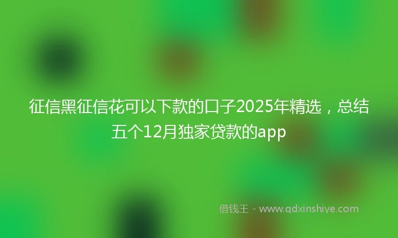 征信黑征信花可以下款的口子2025年精选，总结五个12月独家贷款的app
