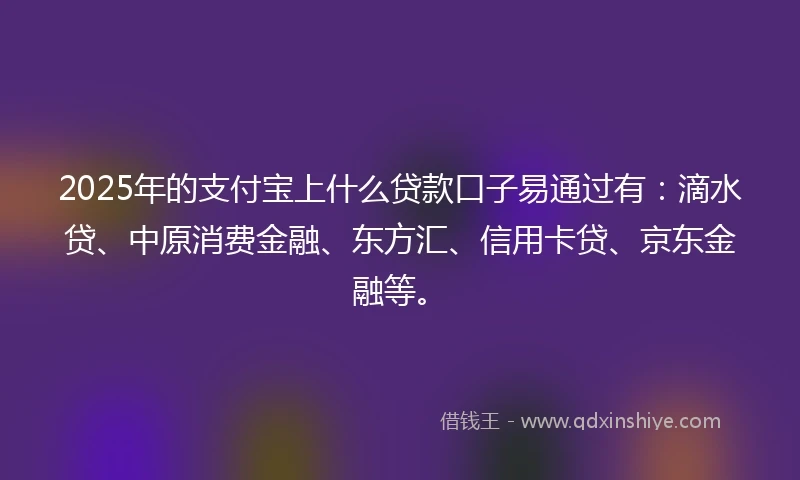 2025年的支付宝上什么贷款口子易通过有：滴水贷、中原消费金融、东方汇、信用卡贷、京东金融等。